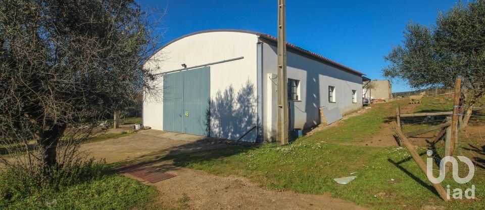 Quinta T0 em Ameixial (Santa Vitória e São Bento) de 180 m²