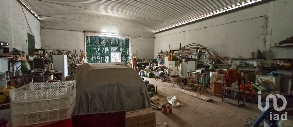 Quinta T0 em Ameixial (Santa Vitória e São Bento) de 180 m²