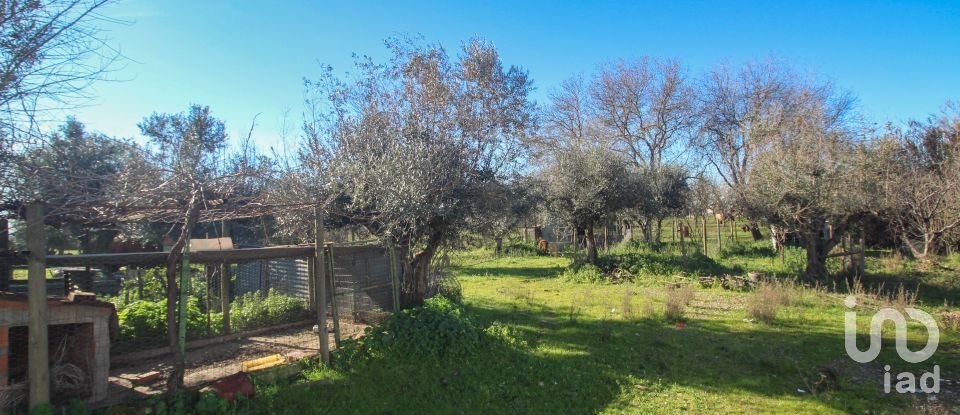 Quinta T0 em Ameixial (Santa Vitória e São Bento) de 180 m²