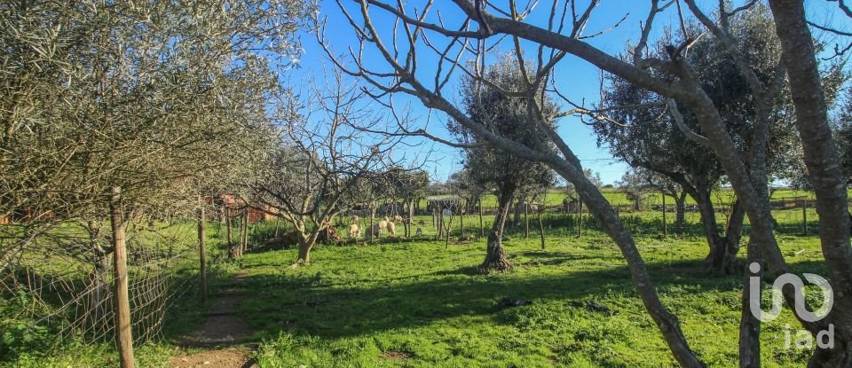 Quinta T0 em Ameixial (Santa Vitória e São Bento) de 180 m²