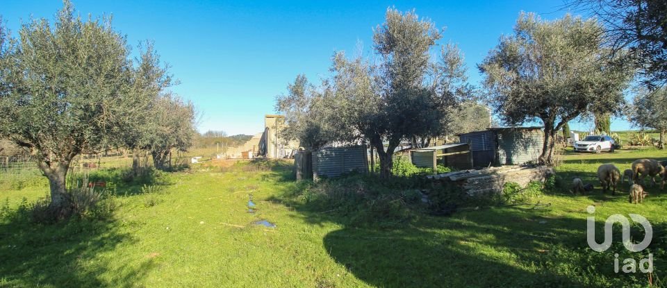 Quinta T0 em Ameixial (Santa Vitória e São Bento) de 180 m²