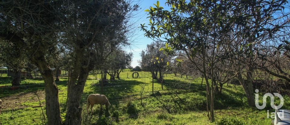 Quinta T0 em Ameixial (Santa Vitória e São Bento) de 180 m²