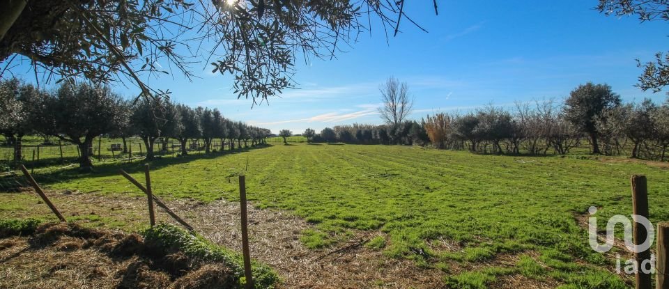 Quinta T0 em Ameixial (Santa Vitória e São Bento) de 180 m²