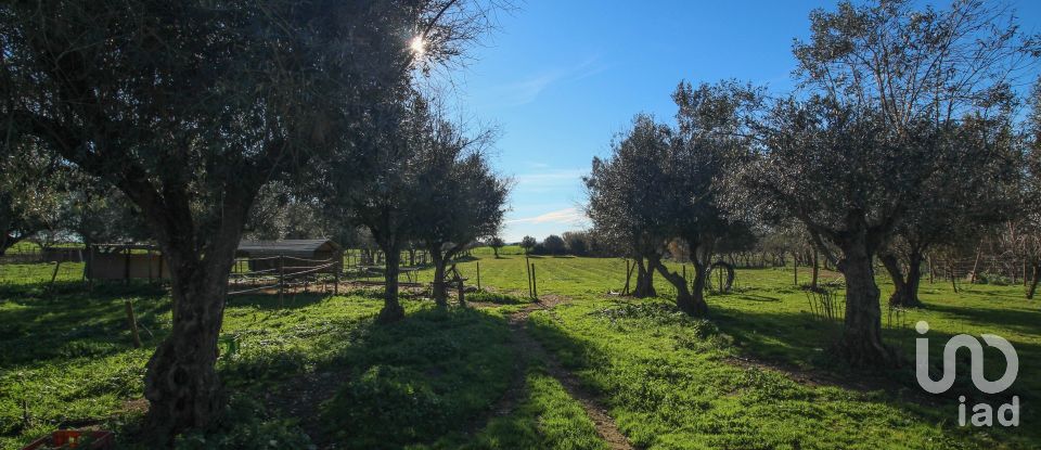 Quinta T0 em Ameixial (Santa Vitória e São Bento) de 180 m²