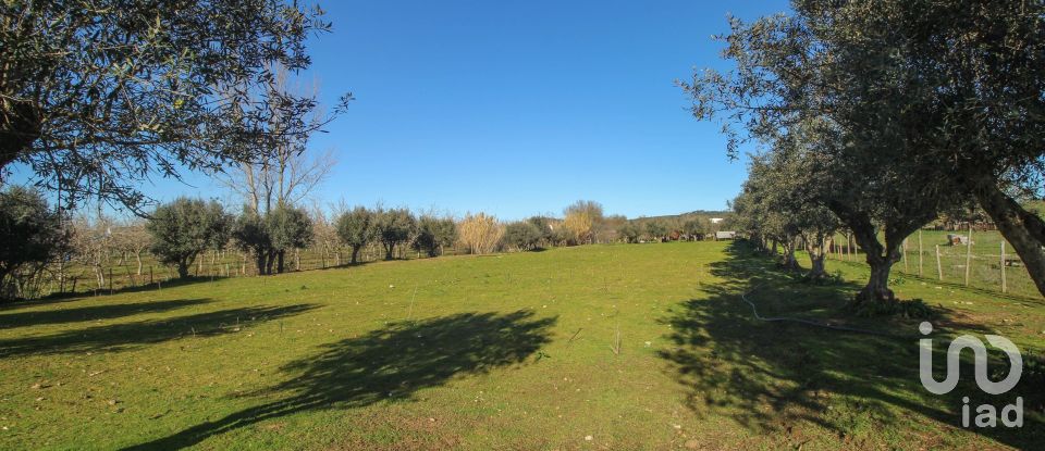 Quinta T0 em Ameixial (Santa Vitória e São Bento) de 180 m²