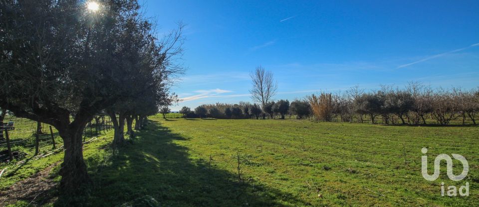 Quinta T0 em Ameixial (Santa Vitória e São Bento) de 180 m²