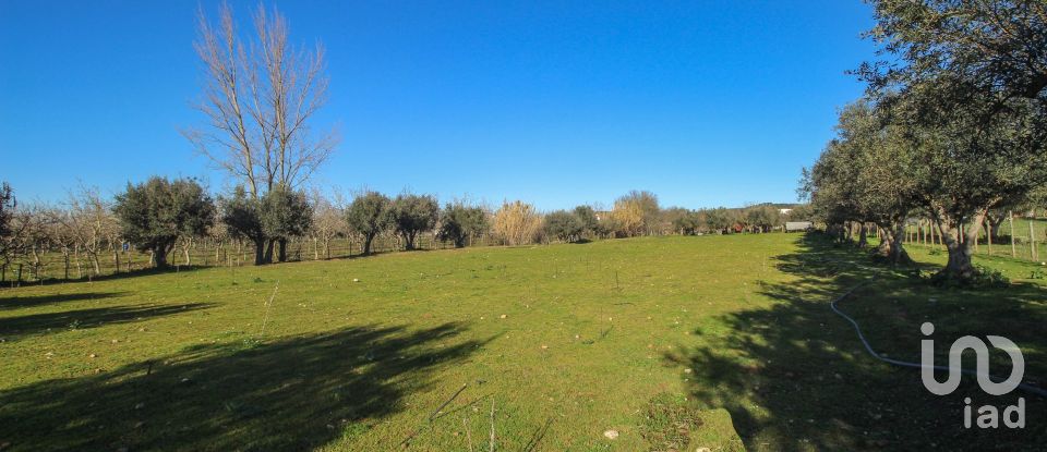 Quinta T0 em Ameixial (Santa Vitória e São Bento) de 180 m²