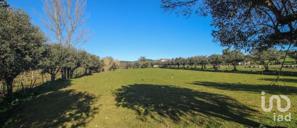 Quinta T0 em Ameixial (Santa Vitória e São Bento) de 180 m²