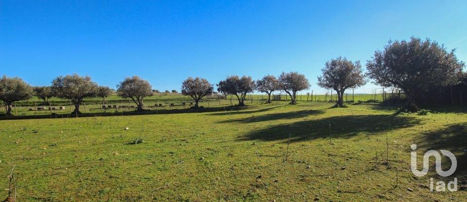 Quinta T0 em Ameixial (Santa Vitória e São Bento) de 180 m²