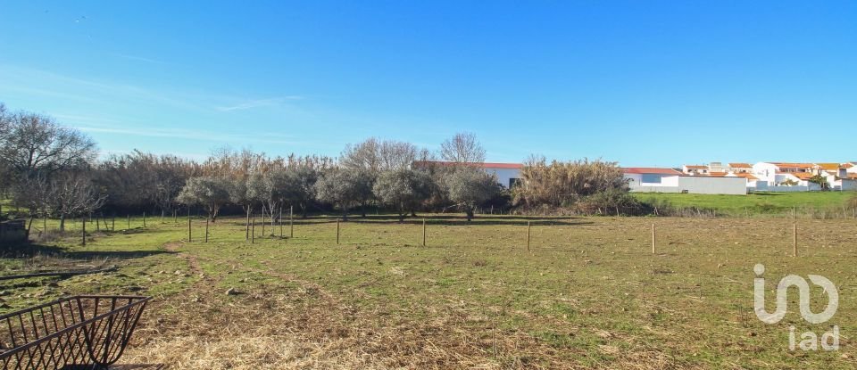 Quinta T0 em Ameixial (Santa Vitória e São Bento) de 180 m²