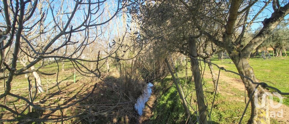 Quinta T0 em Ameixial (Santa Vitória e São Bento) de 180 m²