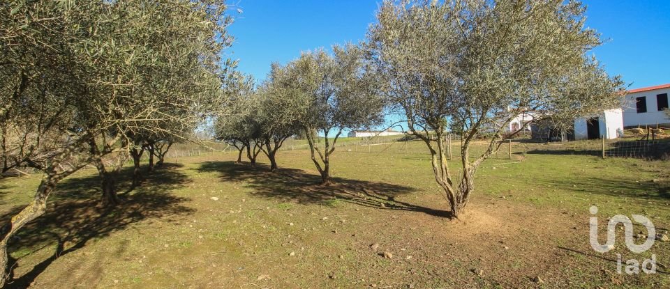 Quinta T0 em Ameixial (Santa Vitória e São Bento) de 180 m²