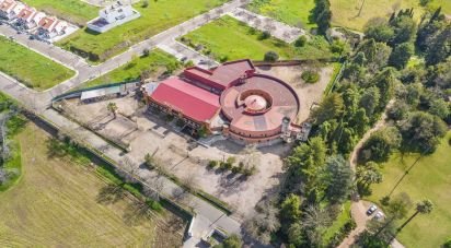 Domaine T33 à Assunção, Ajuda, Salvador e Santo Ildefonso de 2 162 m²