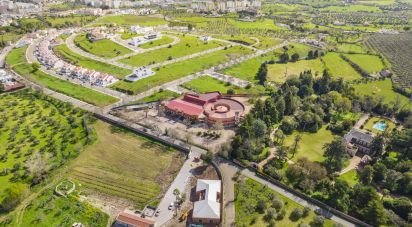 Domaine T33 à Assunção, Ajuda, Salvador e Santo Ildefonso de 2 162 m²