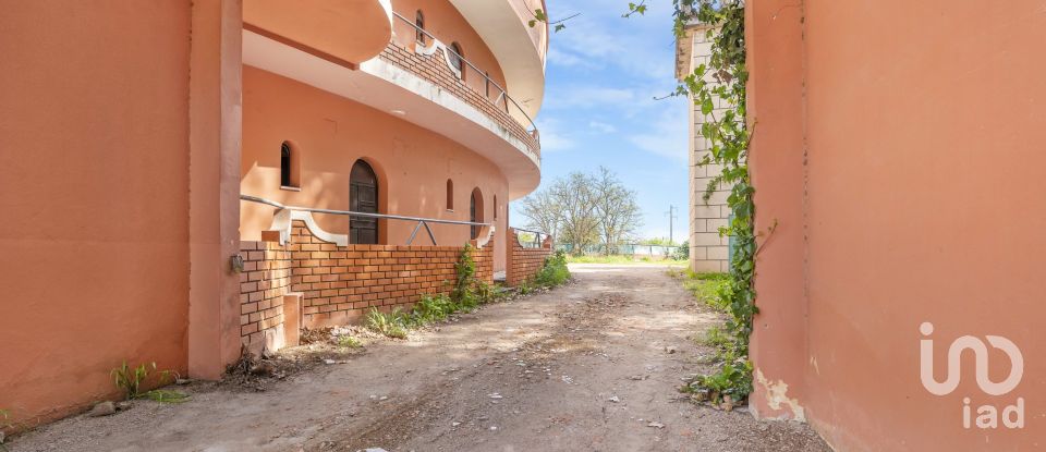 Domaine T33 à Assunção, Ajuda, Salvador e Santo Ildefonso de 2 162 m²