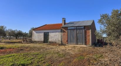 Terrain à Granja de 100 700 m²