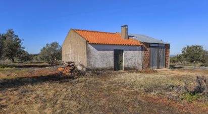 Terrain à Granja de 100 700 m²
