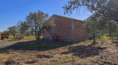 Terrain à Granja de 100 700 m²