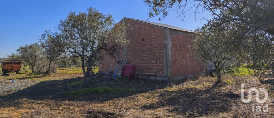 Terrain à Granja de 100 700 m²