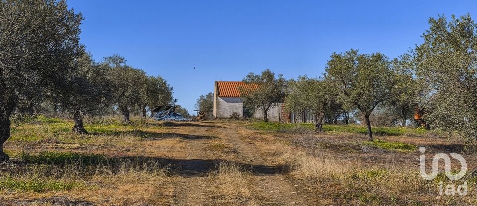 Terrain à Granja de 100 700 m²