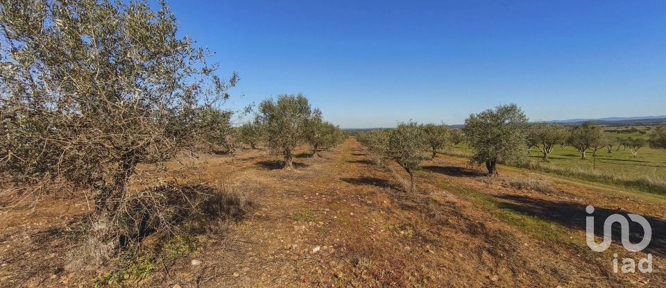 Terrain à Granja de 100 700 m²