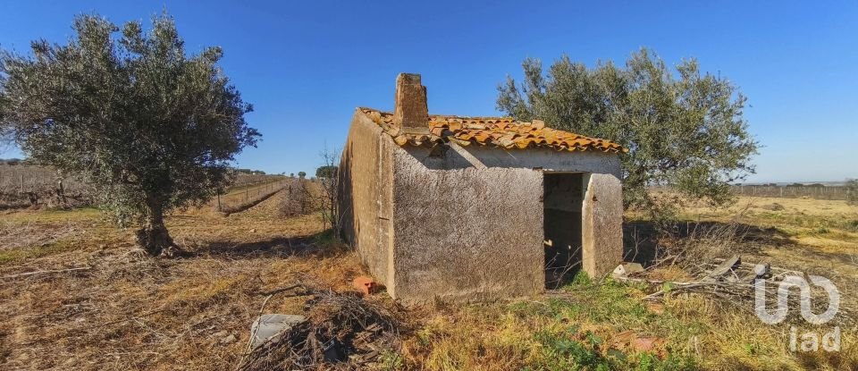 Terrain à Granja de 100 700 m²