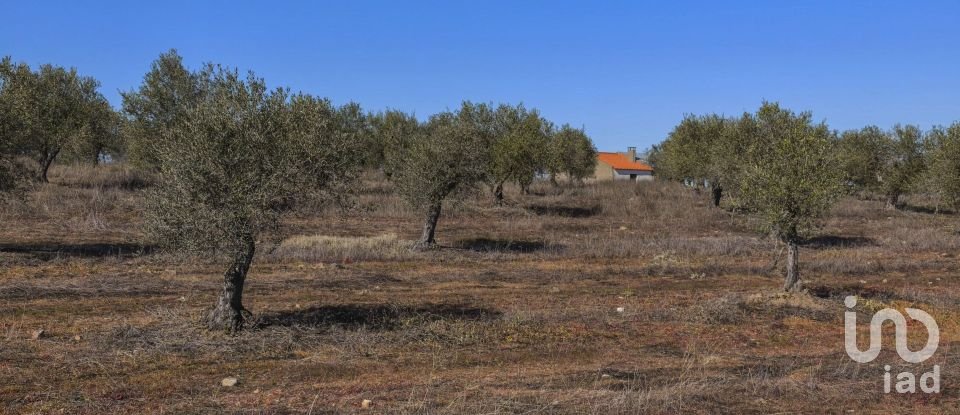 Terrain à Granja de 100 700 m²
