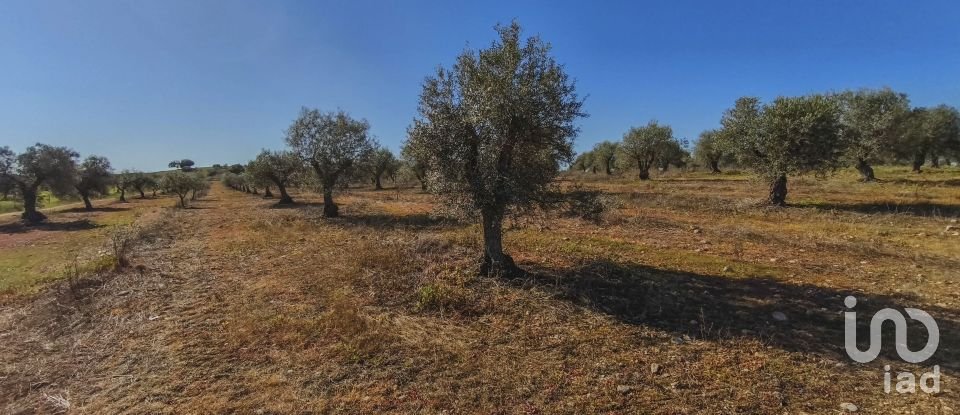 Terrain à Granja de 100 700 m²