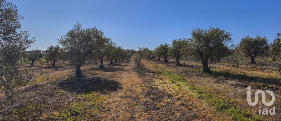 Terrain à Granja de 100 700 m²