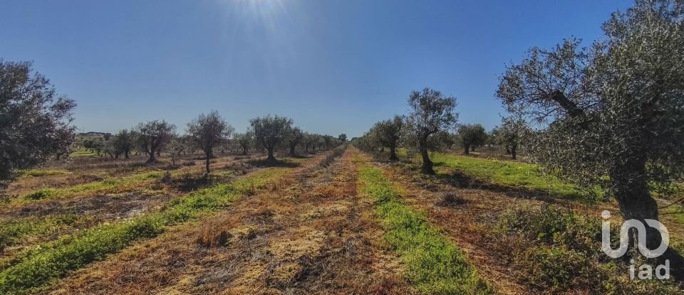 Terrain à Granja de 100 700 m²