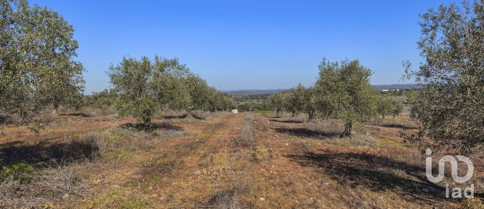 Terrain à Granja de 100 700 m²