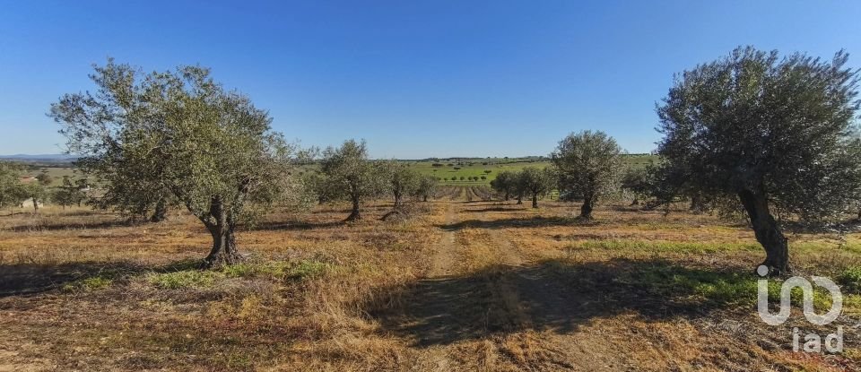 Terrain à Granja de 100 700 m²