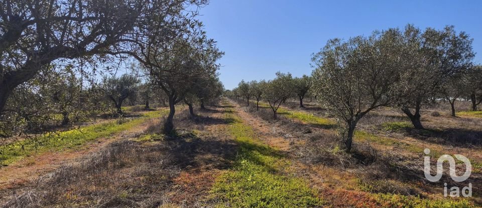 Terrain à Granja de 100 700 m²