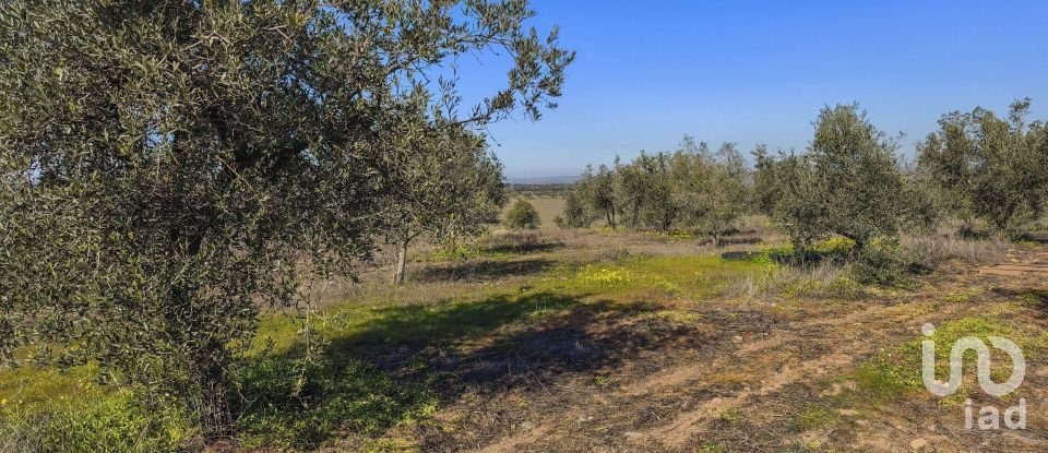 Terrain à Granja de 100 700 m²
