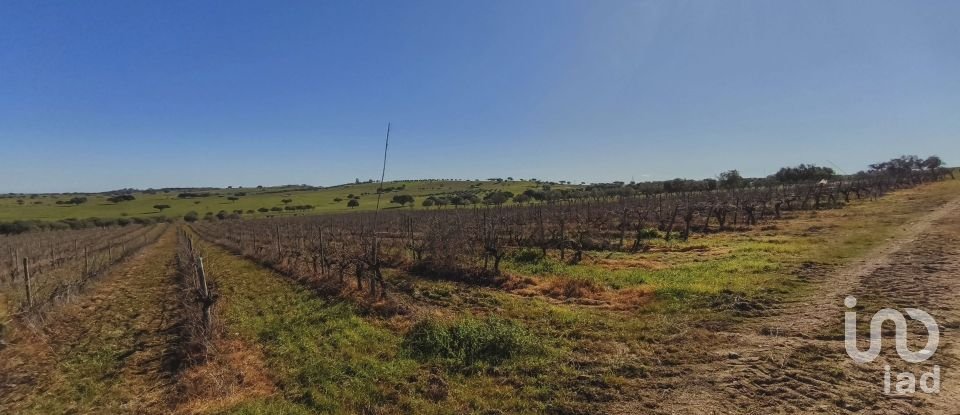 Terrain à Granja de 100 700 m²