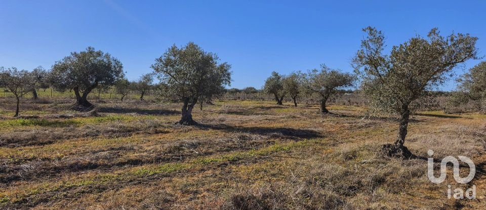 Terrain à Granja de 100 700 m²