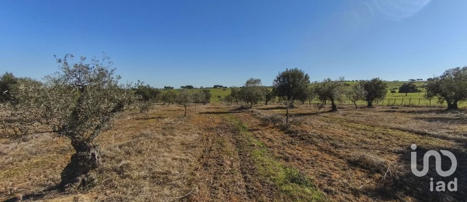 Terrain à Granja de 100 700 m²