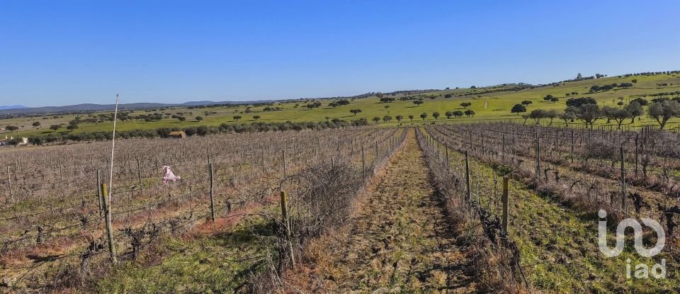 Terrain à Granja de 100 700 m²