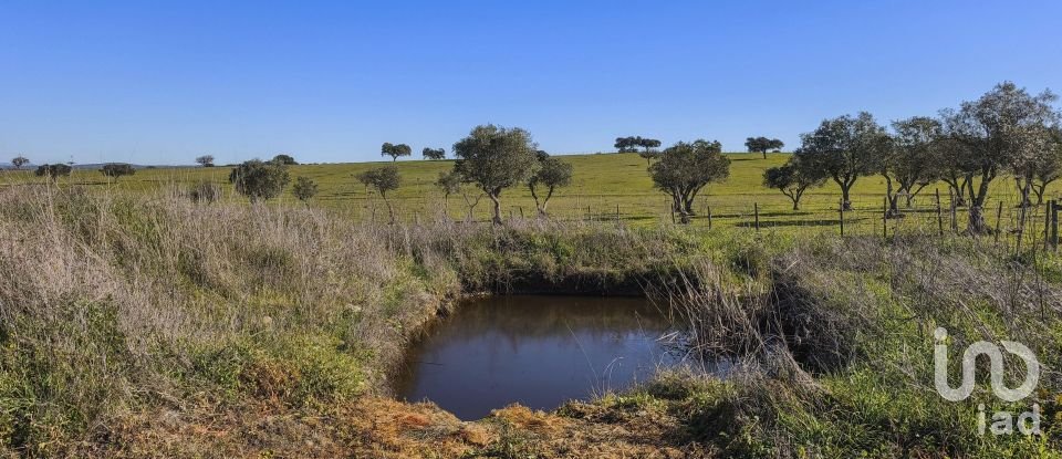 Terrain à Granja de 100 700 m²