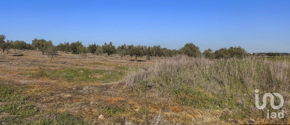 Terrain à Granja de 100 700 m²