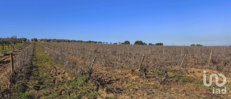 Terrain à Granja de 100 700 m²