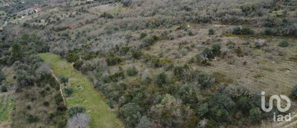 Land in Chãos of 2,000 m²