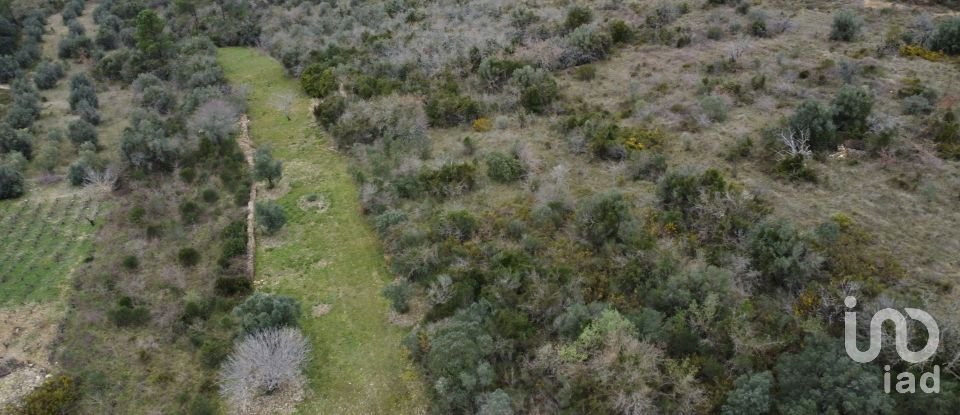 Land in Chãos of 2,000 m²