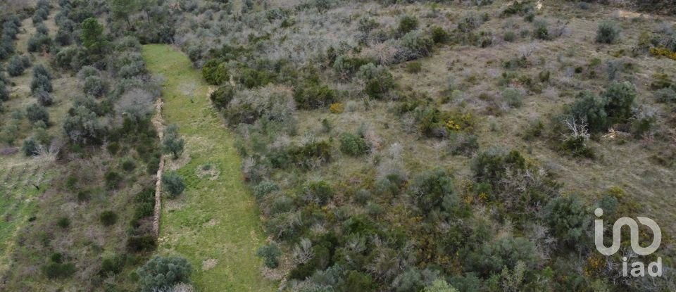 Land in Chãos of 2,000 m²