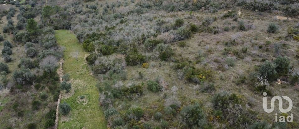 Land in Chãos of 2,000 m²