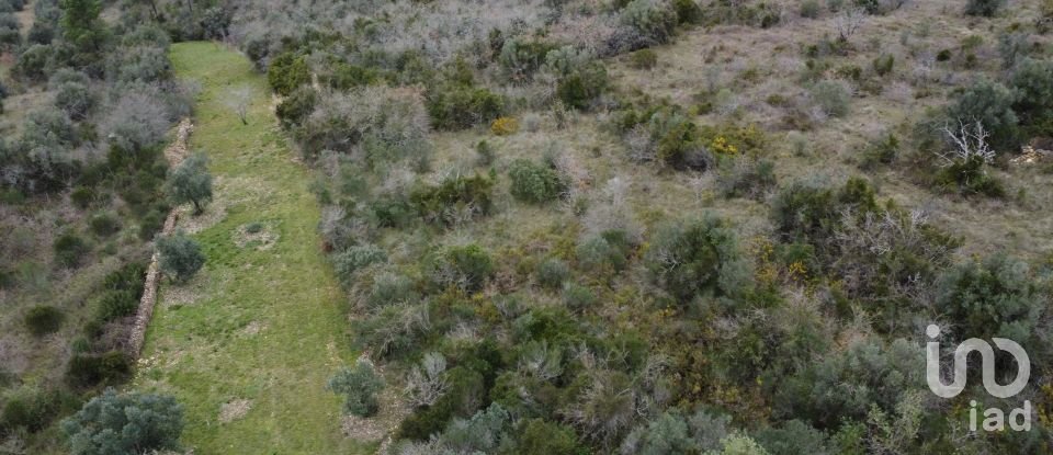 Land in Chãos of 2,000 m²