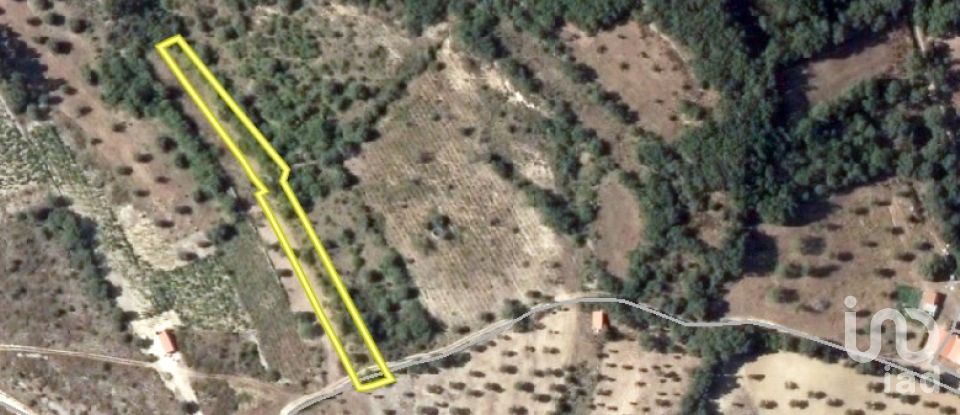 Land in Chãos of 2,000 m²