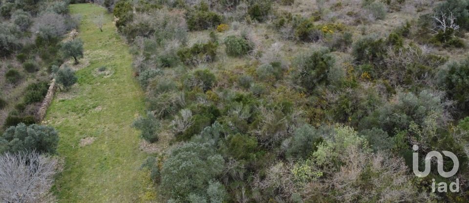 Land in Chãos of 2,000 m²