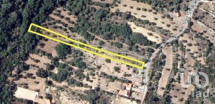 Terrain à Chãos de 2 160 m²