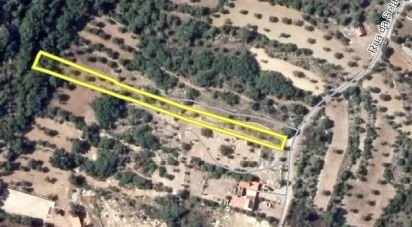 Terrain à Chãos de 2 160 m²